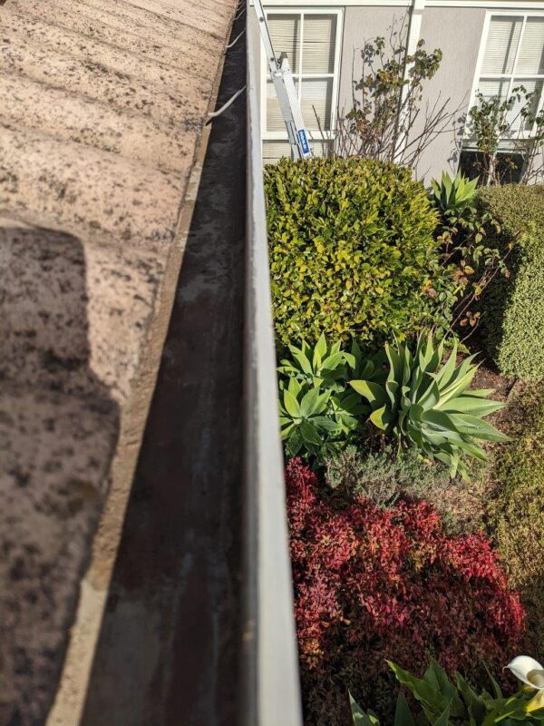 Gutter Cleaning & Maintenance Services